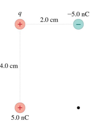 Question image 2