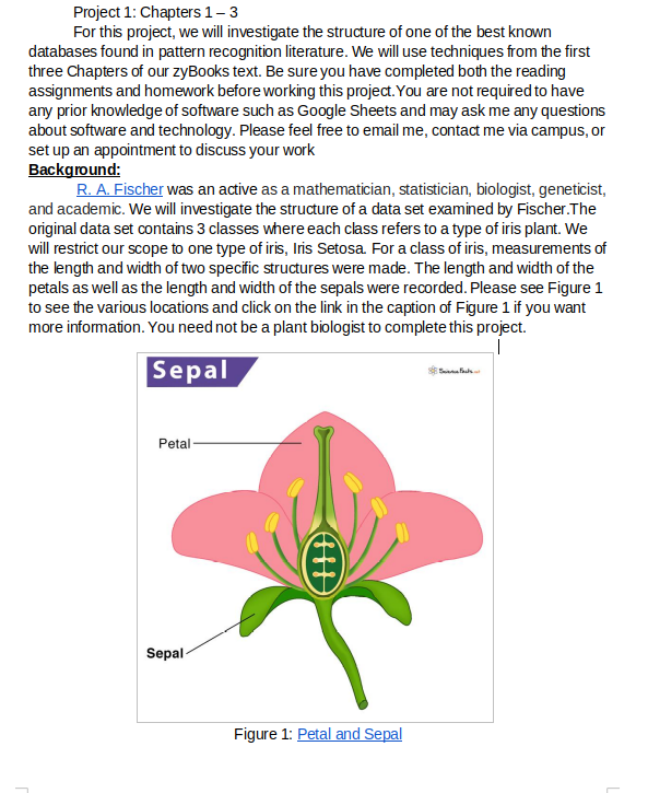 Question image 1
